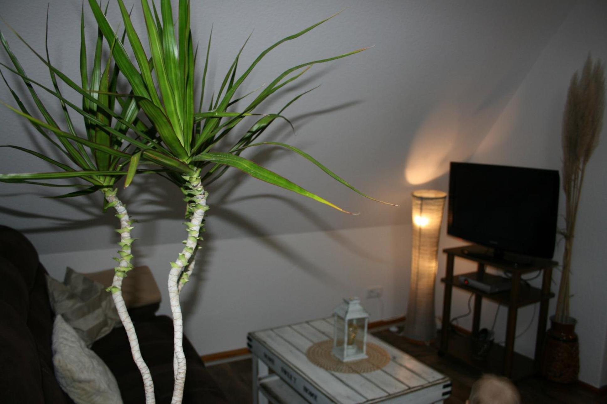 Ferien Oase Am Ber Apartment เชินเนอเฟลด์ ภายนอก รูปภาพ
