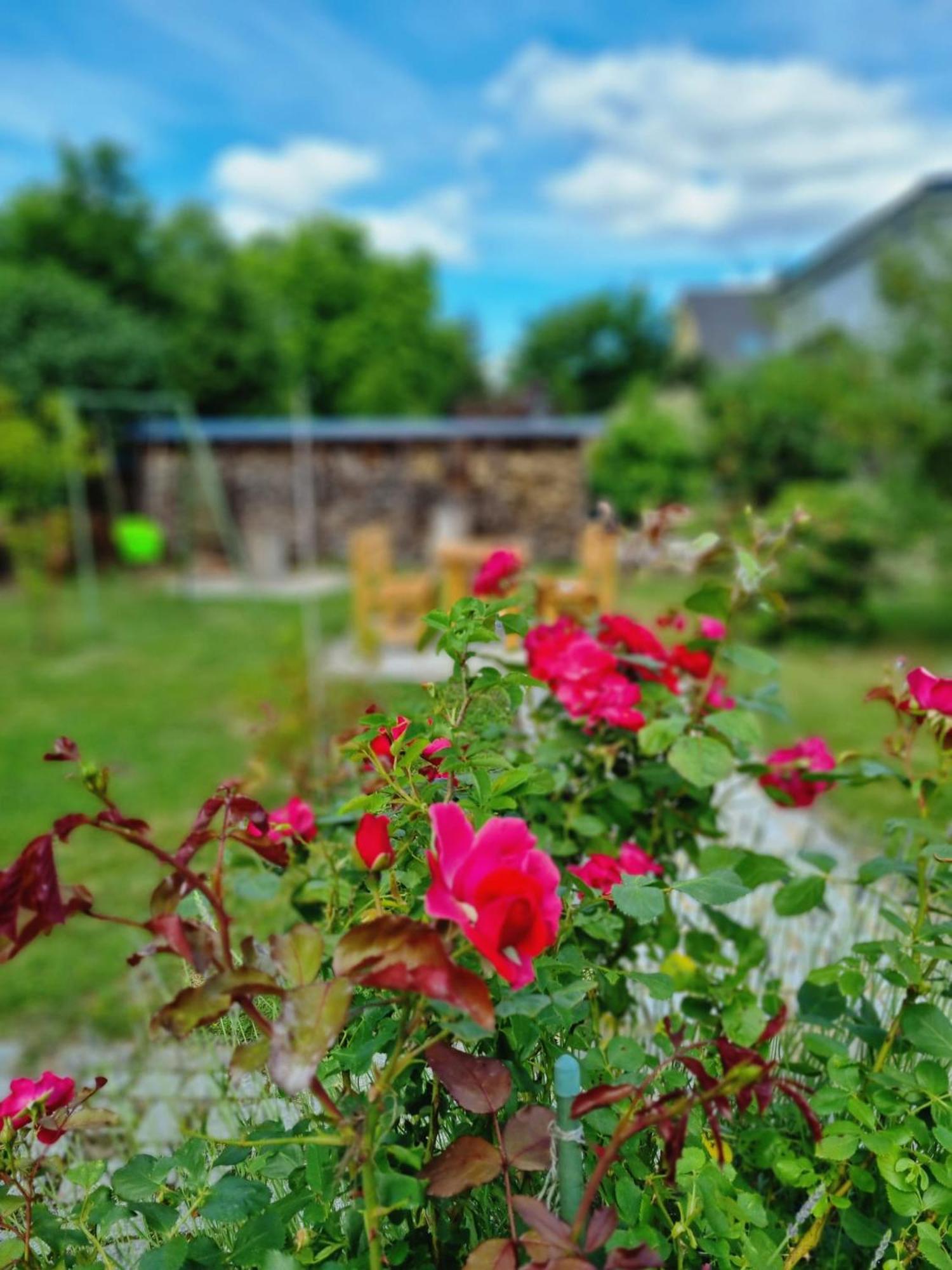 Ferien Oase Am Ber Apartment เชินเนอเฟลด์ ภายนอก รูปภาพ